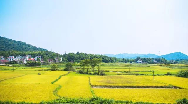 村改居后的士地属于国有土地还是集体土地？