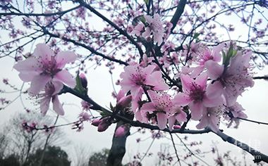 企业拆迁补偿标准是什么,停产停业损失如何计算插图