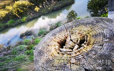 土地划拨转为出让程序复杂吗插图