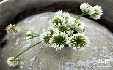 http://www.bjznjj.com.cn/wp-content/uploads/2019/07/189151141.jpg