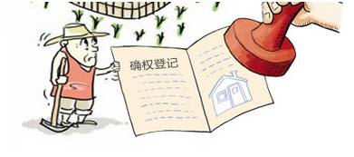 · 农村土地确权，遇到这些情况该怎么办？插图(2)