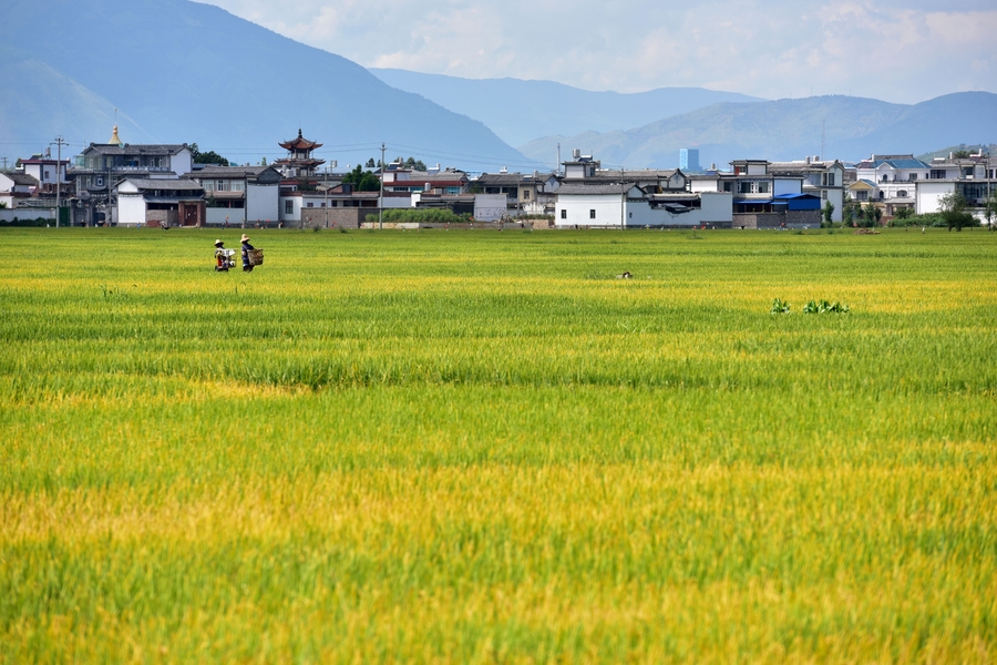土地征用的合理补偿与征地补偿评估插图