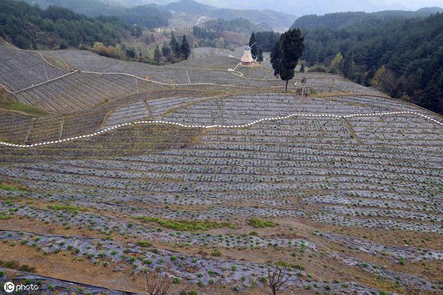 注意！村委会无权征收土地，骗你签字千万别签