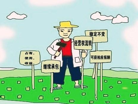 农村土地安置补助费，该不该直接发到村民手里？