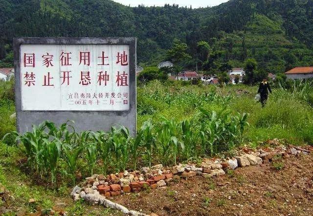 今年的征地补偿标准会发生变化吗？补偿款会上调吗？