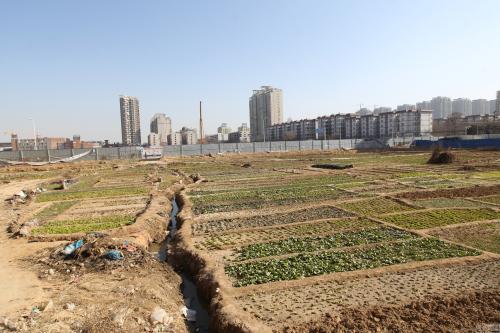 在农村耕地上违规建房，注定是“短命”建筑，都要拆除？