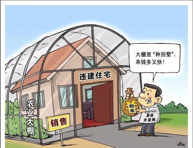 农村即将整治大棚房！有个企业已经吃了亏