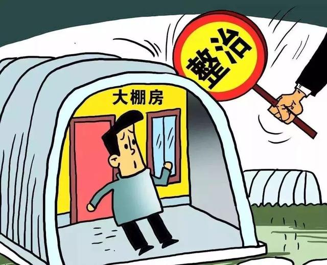 农村即将整治大棚房！有个企业已经吃了亏