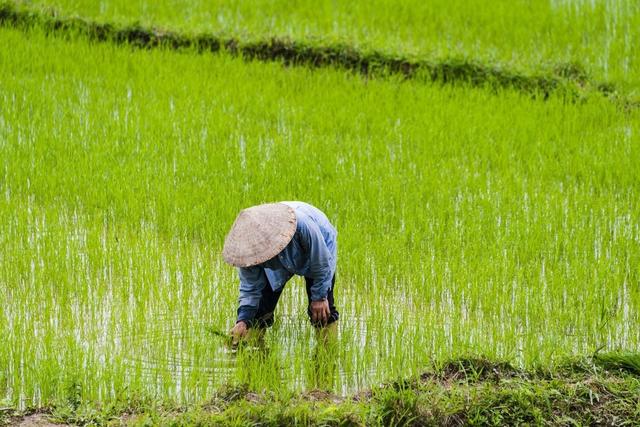 农村土地确权：4确3不确，这些你都知道了吗？
