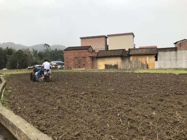 “一宅一户”面积是如何规定的？为什么有的人不可以继承宅基地？
