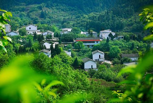 宅基地制度改革、集体经营性建设用地入市新规亮相