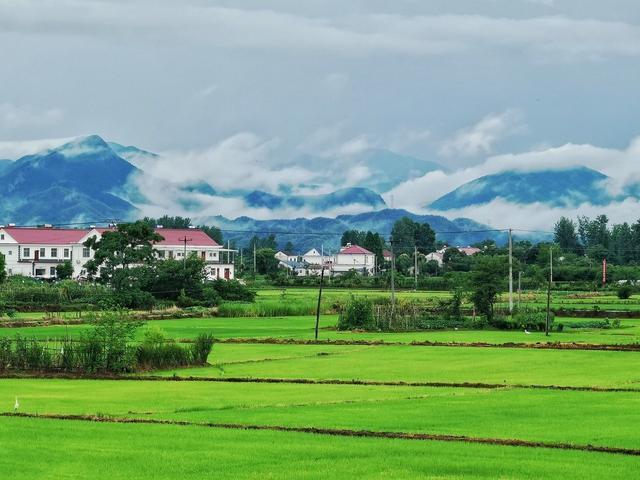 利用集体土地建设租赁住房，农村集体长期增收有着落！