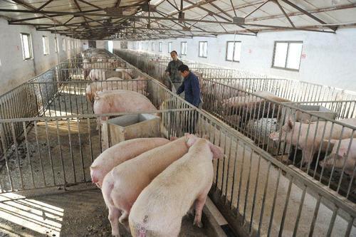 饮用水水源区由谁划定，在?；で诳梢越ㄑ吵÷?？