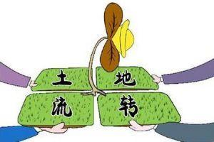 2020年土地流转相关法律法规你一定要知道！