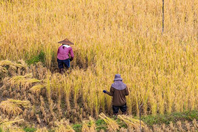 农村土地确权关键点：4确3不确，你都知道吗？