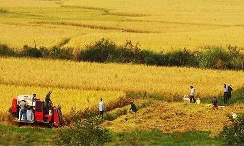 集体土地在村民不知情况下转为国有，房屋被强拆了该怎么办？