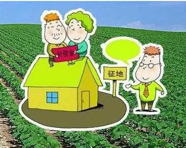 自己种植的树林，苗圃等种植企业，遇到征地拆迁时？补偿怎么算？