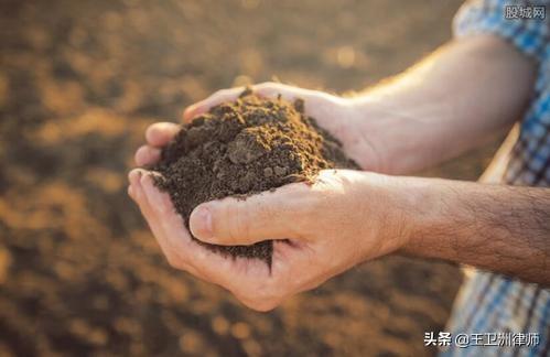新《土地管理法》公布以后，这一亮点将有效解决农民补偿问题！