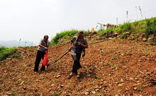 费心费力开垦的荒山野地，被无偿征回？合法吗？