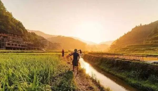 马上启动“合村并镇”？“土地归并”或提前开始？注意2件事