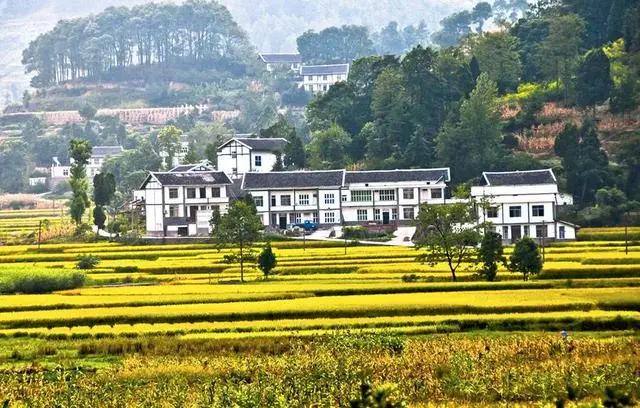娘家的土地、房子、征收补偿，外嫁女到底有没有份？这次说清楚了