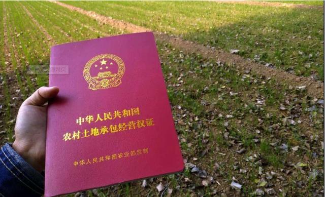若政府机关不受理土地确权申请，那么公民是否能起诉政府？