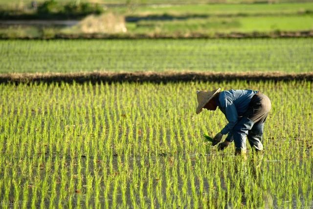 国家提升征地补偿原则地位、扩大补偿范围，为亿万农民奔小康铺路