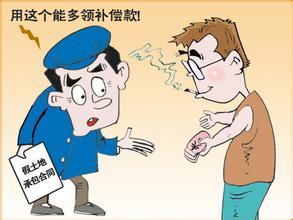关于政府征地补偿租赁人的案例