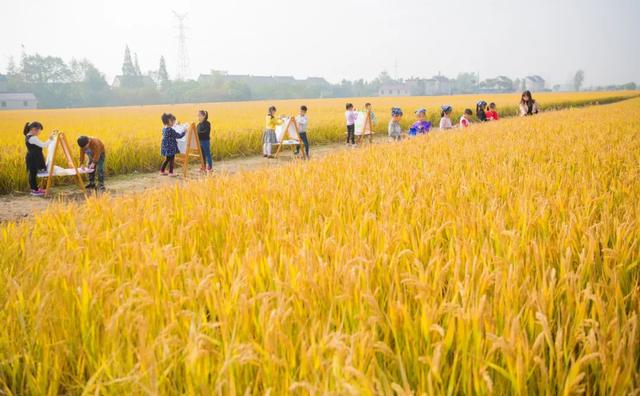 农村土地流转和土地买卖的区别在哪里？为什么土地买卖是违法的？