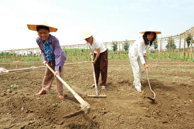 “以租代征”是套路，交地一定得谨慎