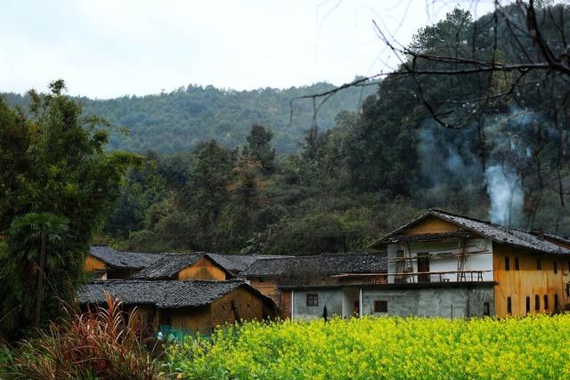 向城里人出租村房“养老居住权”合法吗？征收时补偿归谁？