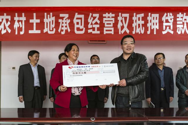 ?想去农村买地过“李子柒”式生活？先弄清宅基地这五个问题